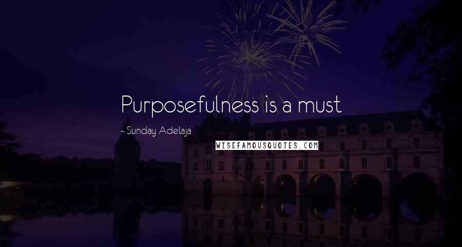 Sunday Adelaja Quotes: Purposefulness is a must