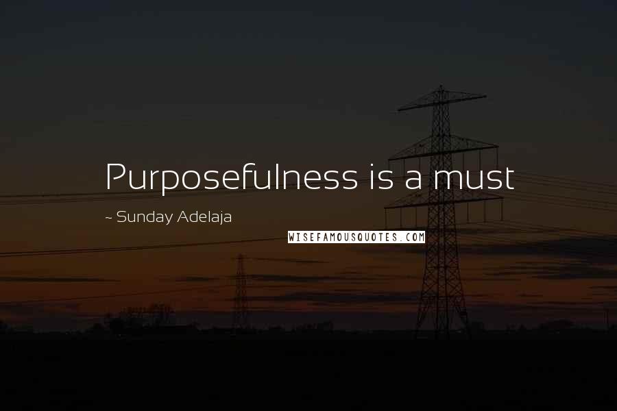 Sunday Adelaja Quotes: Purposefulness is a must