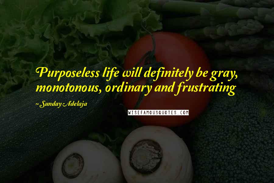 Sunday Adelaja Quotes: Purposeless life will definitely be gray, monotonous, ordinary and frustrating