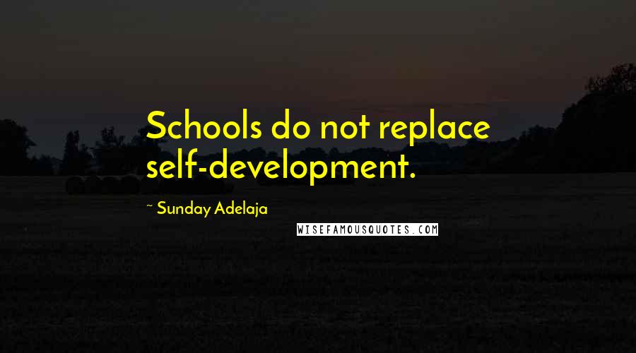 Sunday Adelaja Quotes: Schools do not replace self-development.