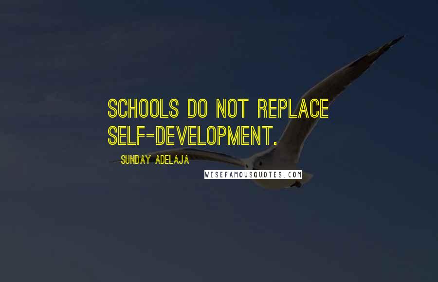 Sunday Adelaja Quotes: Schools do not replace self-development.