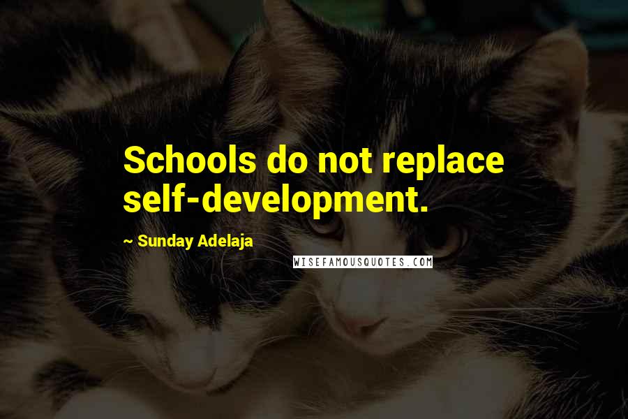 Sunday Adelaja Quotes: Schools do not replace self-development.