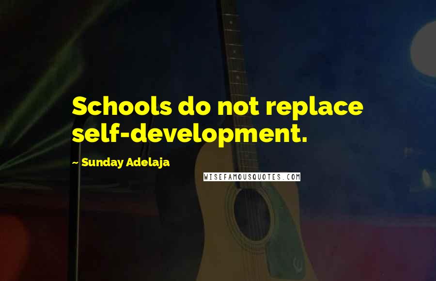 Sunday Adelaja Quotes: Schools do not replace self-development.