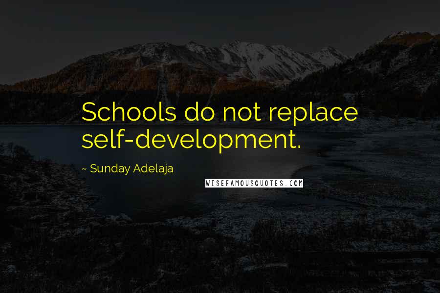 Sunday Adelaja Quotes: Schools do not replace self-development.