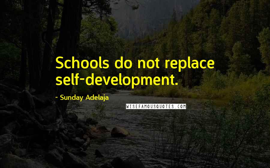 Sunday Adelaja Quotes: Schools do not replace self-development.