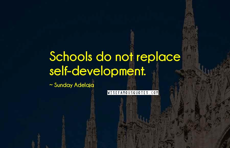 Sunday Adelaja Quotes: Schools do not replace self-development.