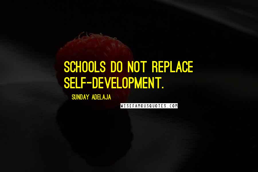 Sunday Adelaja Quotes: Schools do not replace self-development.