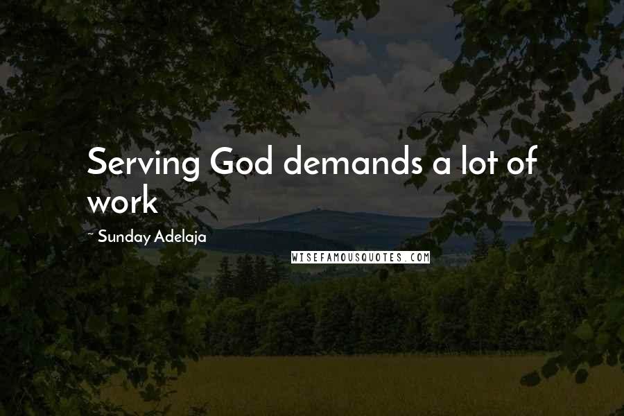 Sunday Adelaja Quotes: Serving God demands a lot of work
