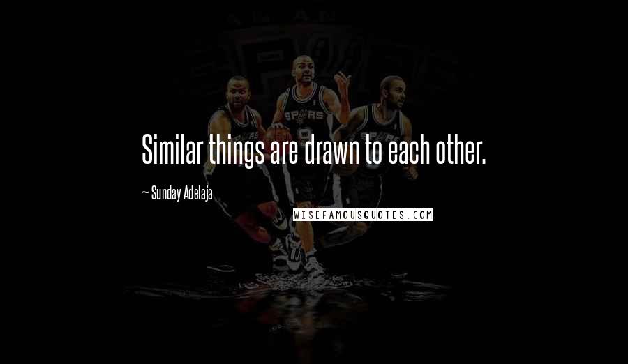 Sunday Adelaja Quotes: Similar things are drawn to each other.