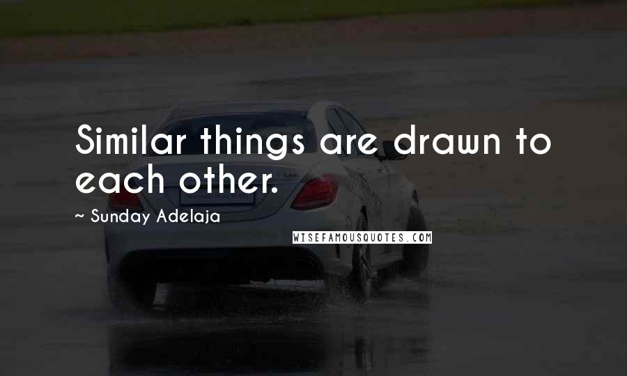 Sunday Adelaja Quotes: Similar things are drawn to each other.