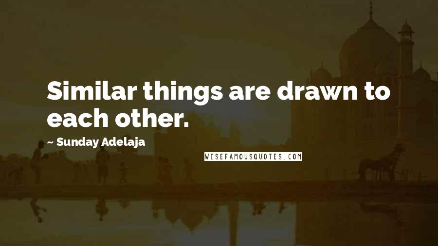 Sunday Adelaja Quotes: Similar things are drawn to each other.