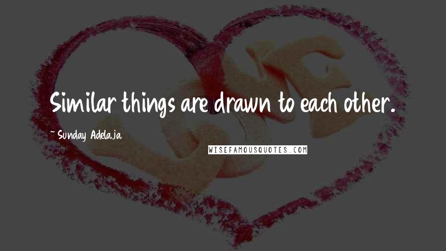 Sunday Adelaja Quotes: Similar things are drawn to each other.