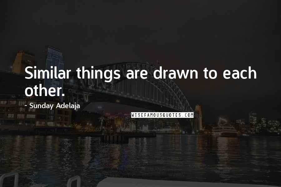 Sunday Adelaja Quotes: Similar things are drawn to each other.