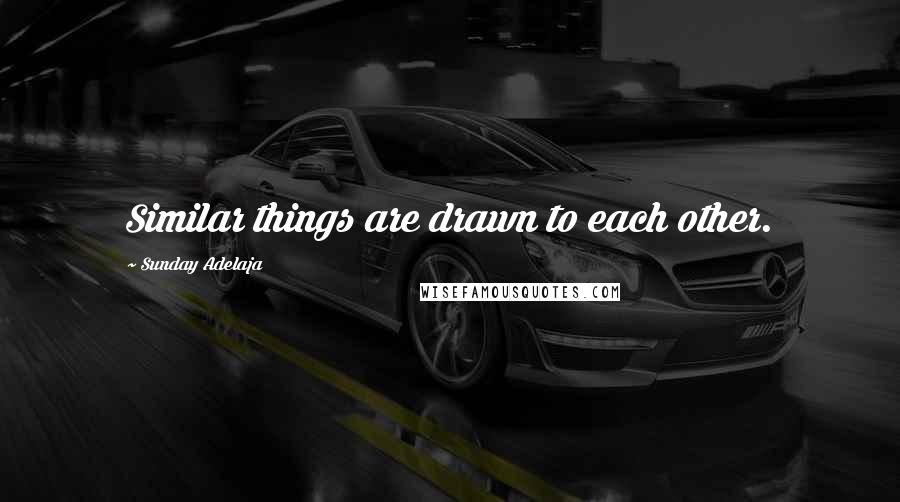 Sunday Adelaja Quotes: Similar things are drawn to each other.