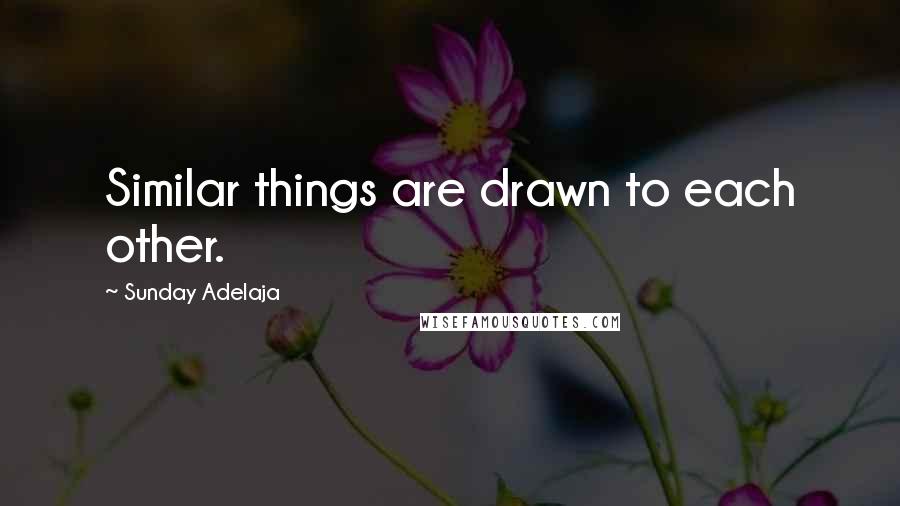 Sunday Adelaja Quotes: Similar things are drawn to each other.