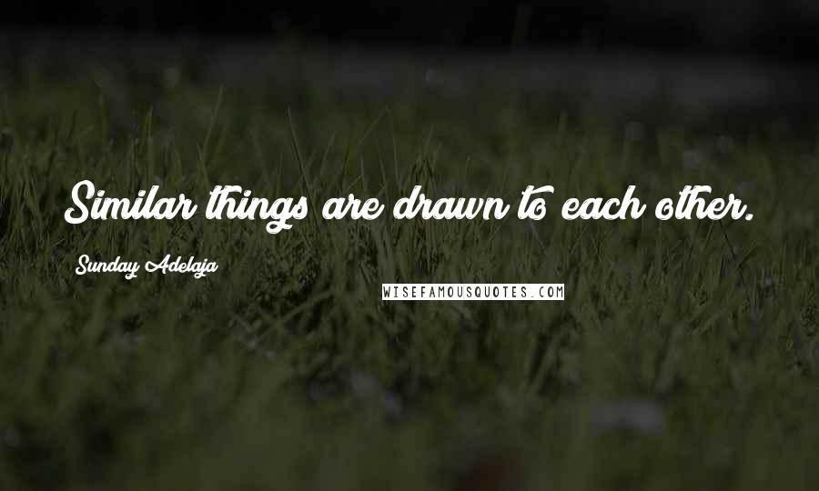 Sunday Adelaja Quotes: Similar things are drawn to each other.