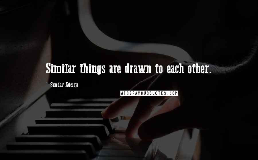 Sunday Adelaja Quotes: Similar things are drawn to each other.