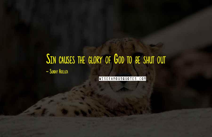 Sunday Adelaja Quotes: Sin causes the glory of God to be shut out