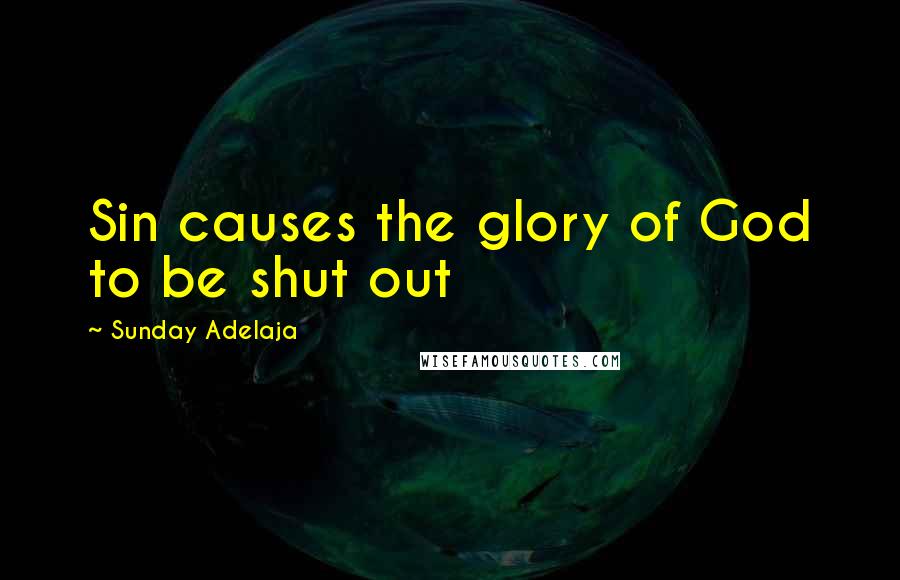 Sunday Adelaja Quotes: Sin causes the glory of God to be shut out