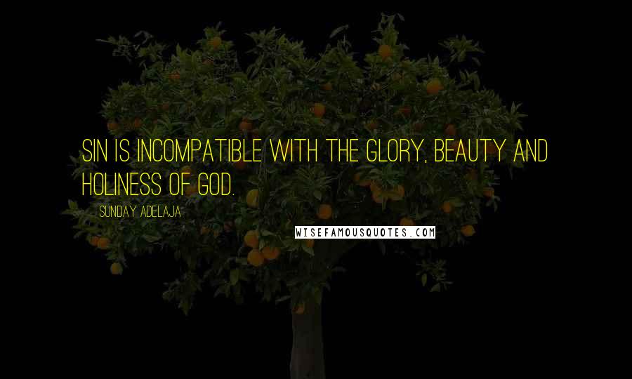 Sunday Adelaja Quotes: Sin is incompatible with the glory, beauty and holiness of God.