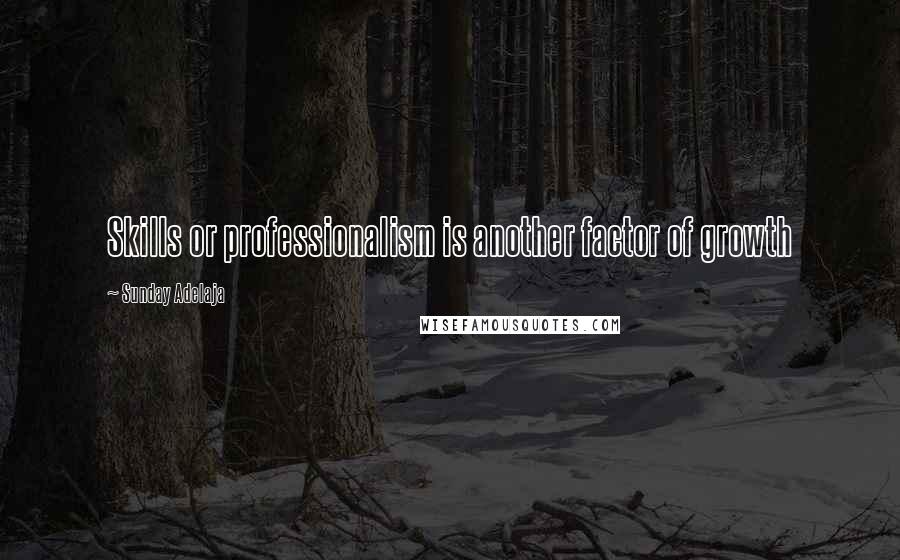 Sunday Adelaja Quotes: Skills or professionalism is another factor of growth