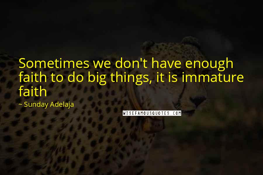 Sunday Adelaja Quotes: Sometimes we don't have enough faith to do big things, it is immature faith