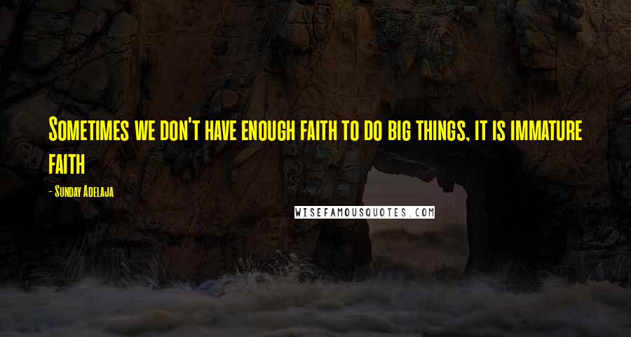 Sunday Adelaja Quotes: Sometimes we don't have enough faith to do big things, it is immature faith