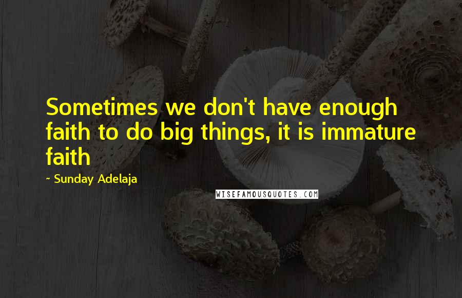 Sunday Adelaja Quotes: Sometimes we don't have enough faith to do big things, it is immature faith