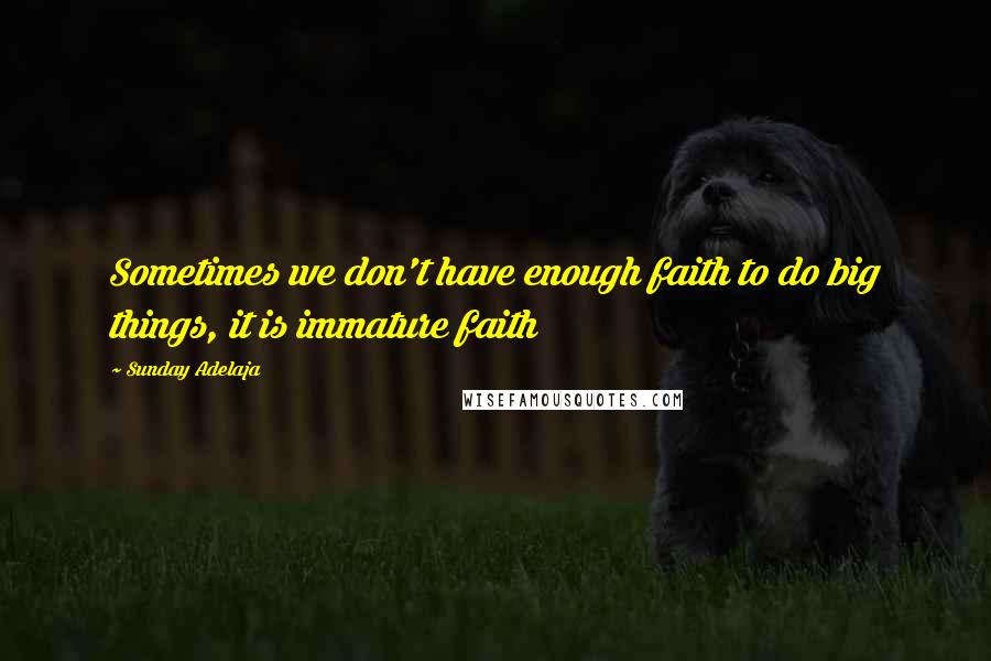 Sunday Adelaja Quotes: Sometimes we don't have enough faith to do big things, it is immature faith