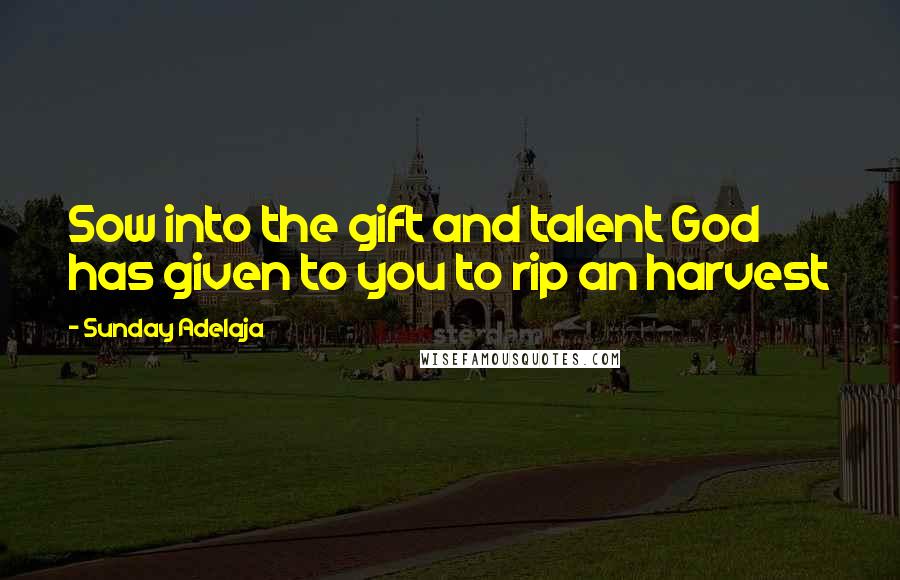 Sunday Adelaja Quotes: Sow into the gift and talent God has given to you to rip an harvest