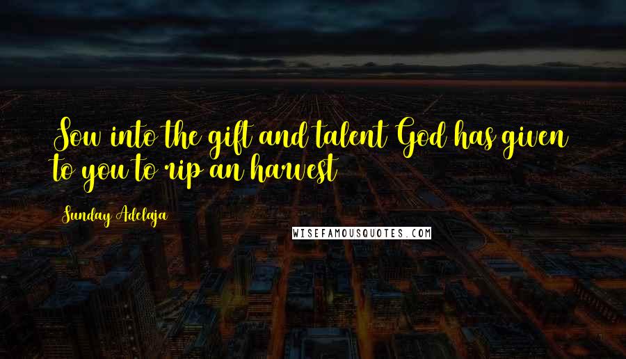 Sunday Adelaja Quotes: Sow into the gift and talent God has given to you to rip an harvest