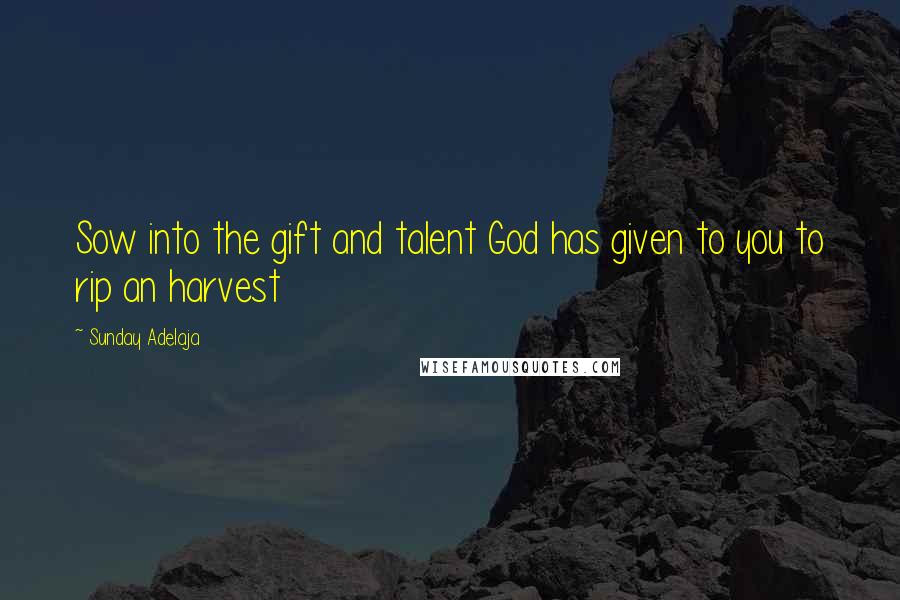 Sunday Adelaja Quotes: Sow into the gift and talent God has given to you to rip an harvest