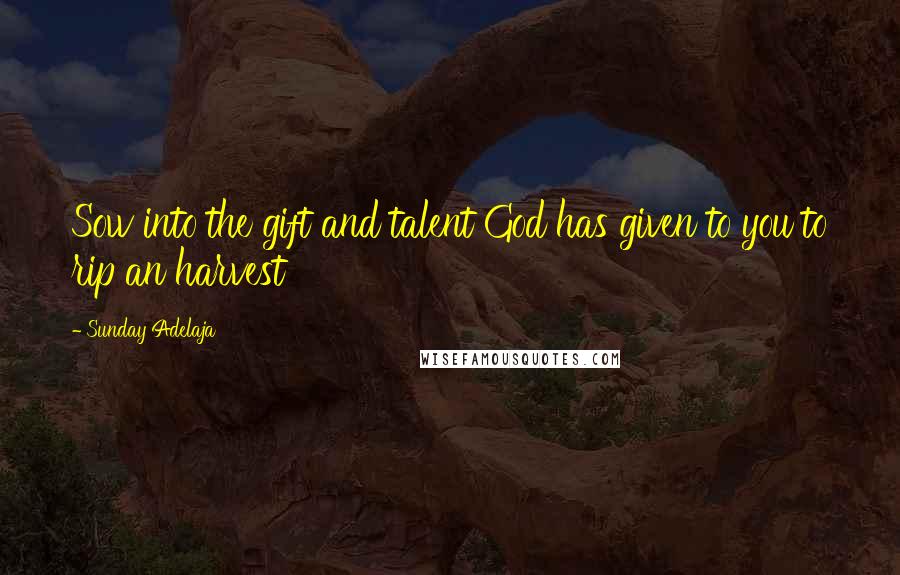 Sunday Adelaja Quotes: Sow into the gift and talent God has given to you to rip an harvest