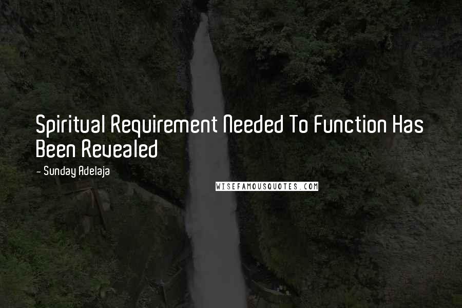 Sunday Adelaja Quotes: Spiritual Requirement Needed To Function Has Been Revealed