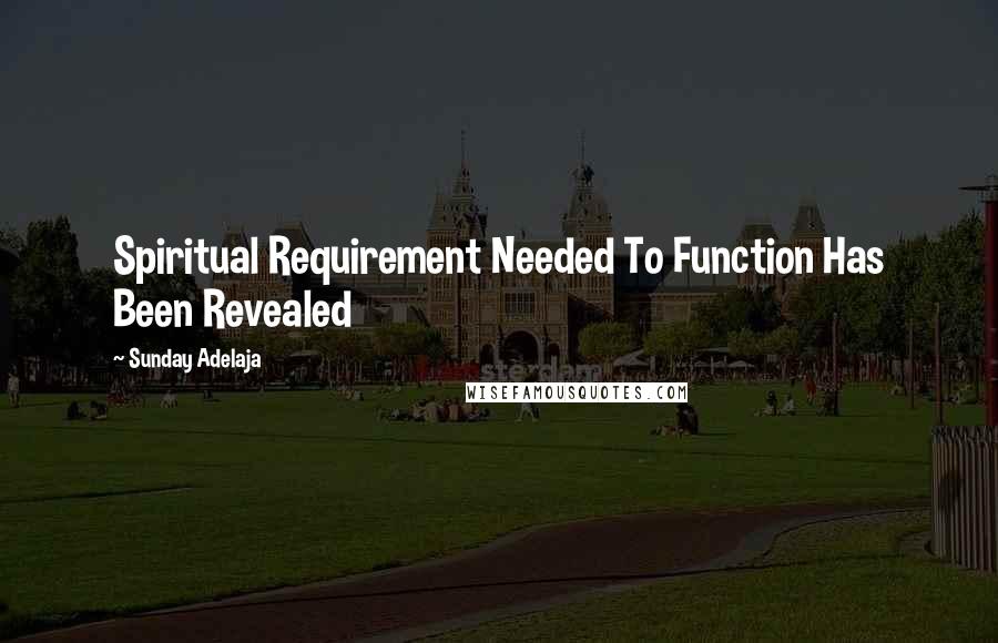 Sunday Adelaja Quotes: Spiritual Requirement Needed To Function Has Been Revealed