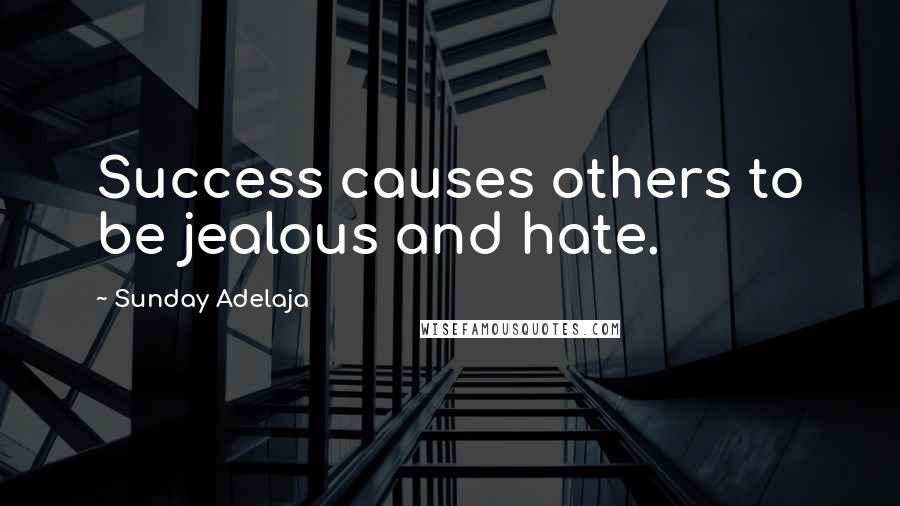 Sunday Adelaja Quotes: Success causes others to be jealous and hate.