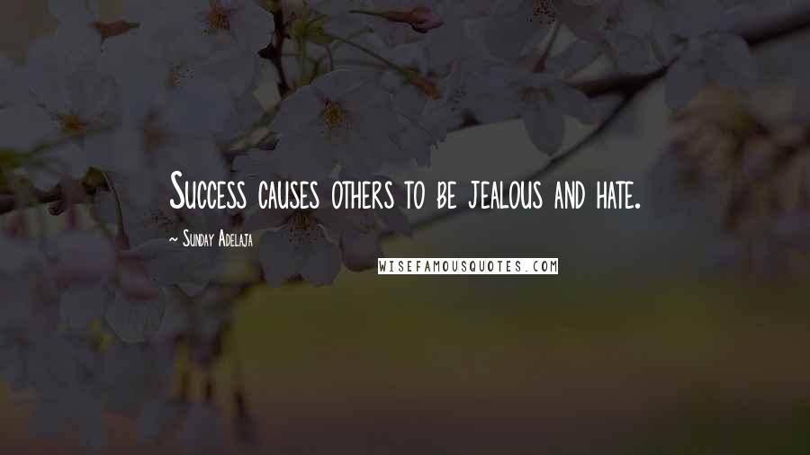 Sunday Adelaja Quotes: Success causes others to be jealous and hate.