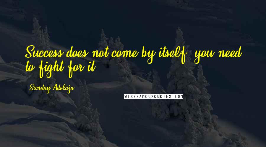 Sunday Adelaja Quotes: Success does not come by itself; you need to fight for it.