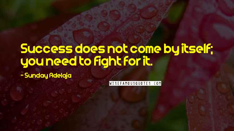 Sunday Adelaja Quotes: Success does not come by itself; you need to fight for it.