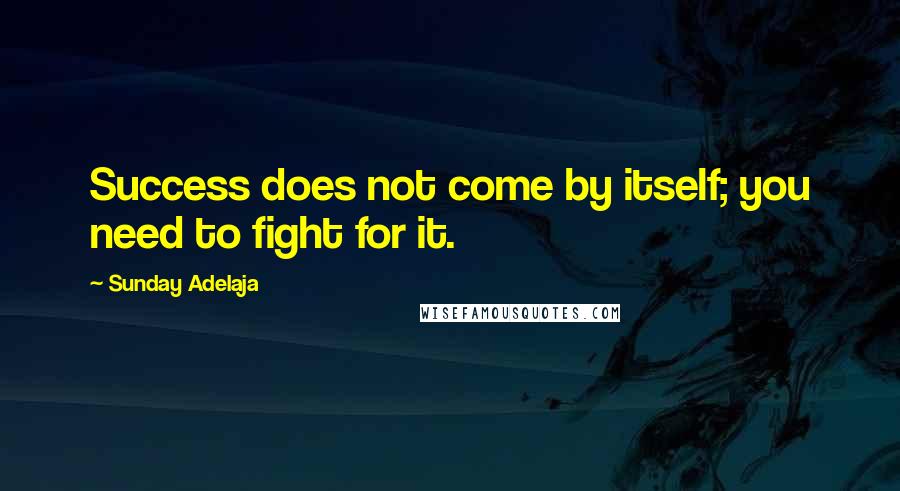 Sunday Adelaja Quotes: Success does not come by itself; you need to fight for it.