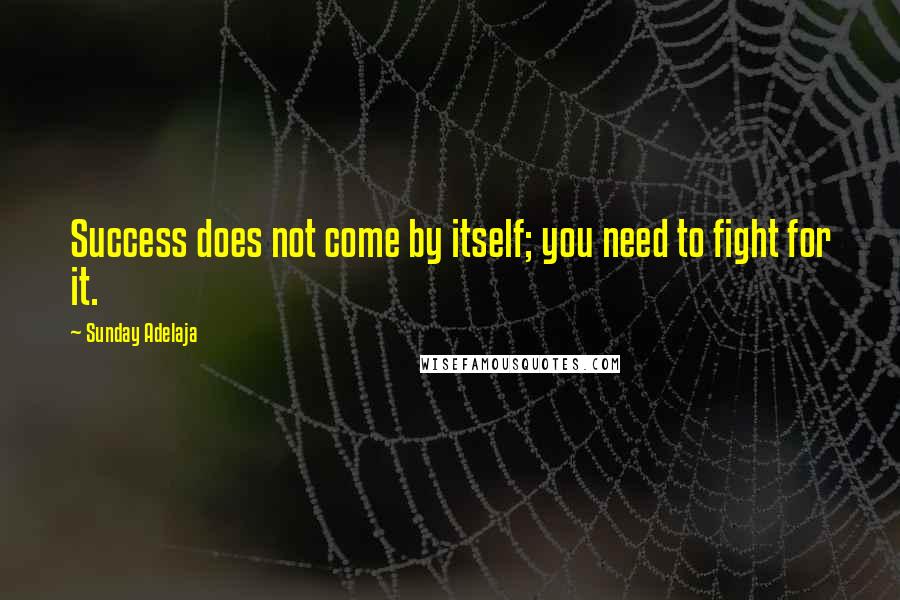 Sunday Adelaja Quotes: Success does not come by itself; you need to fight for it.