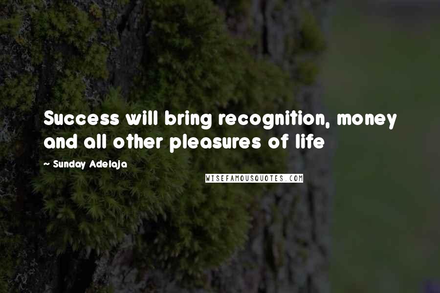 Sunday Adelaja Quotes: Success will bring recognition, money and all other pleasures of life