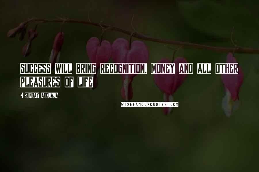 Sunday Adelaja Quotes: Success will bring recognition, money and all other pleasures of life