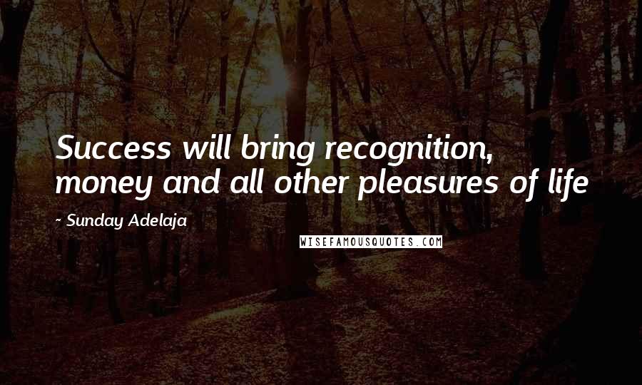Sunday Adelaja Quotes: Success will bring recognition, money and all other pleasures of life