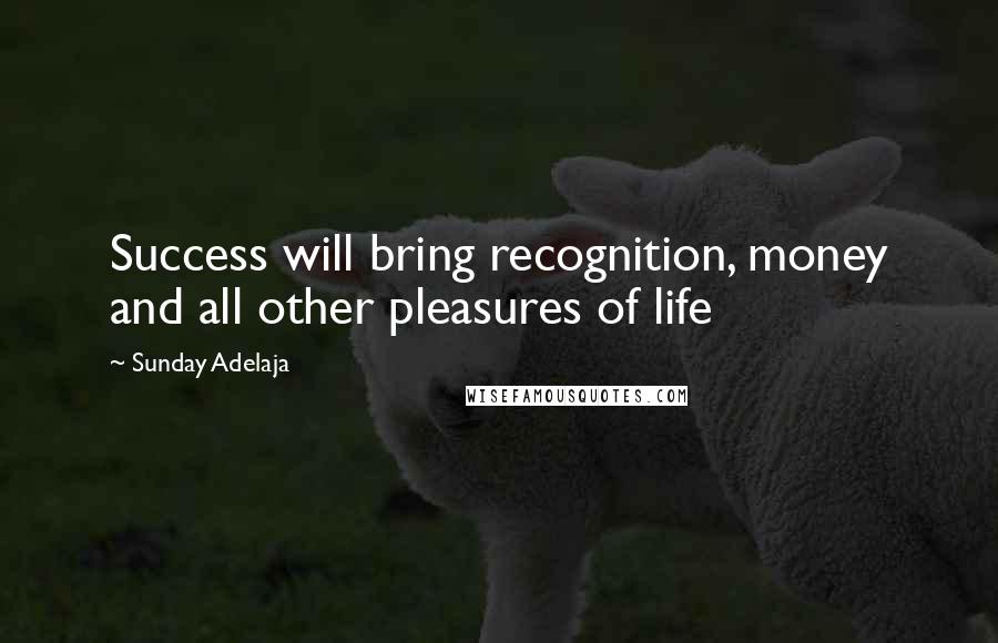 Sunday Adelaja Quotes: Success will bring recognition, money and all other pleasures of life
