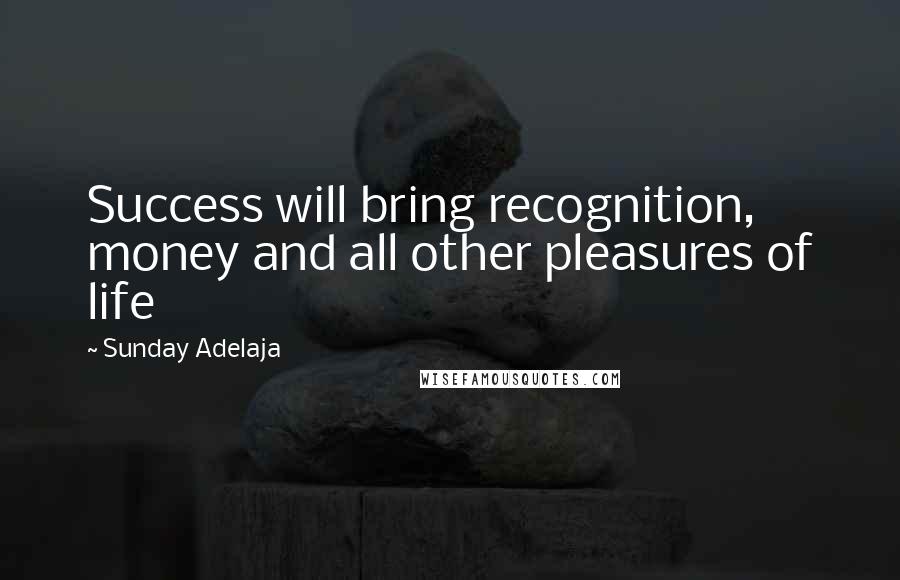 Sunday Adelaja Quotes: Success will bring recognition, money and all other pleasures of life