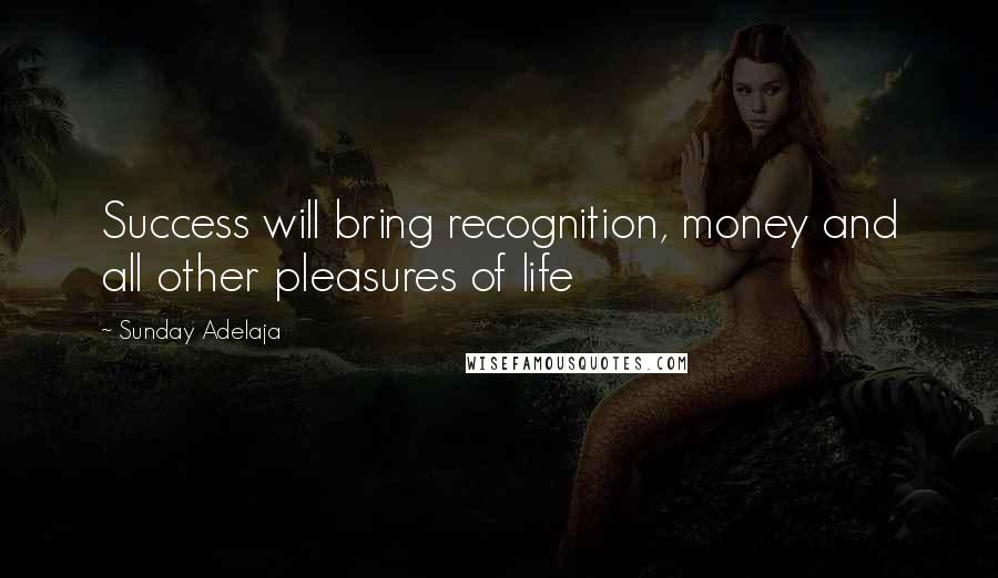 Sunday Adelaja Quotes: Success will bring recognition, money and all other pleasures of life
