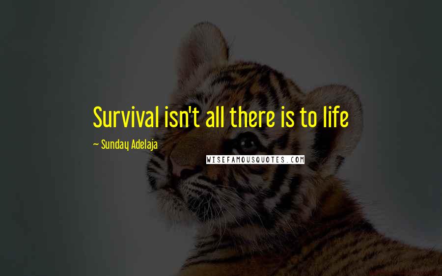 Sunday Adelaja Quotes: Survival isn't all there is to life