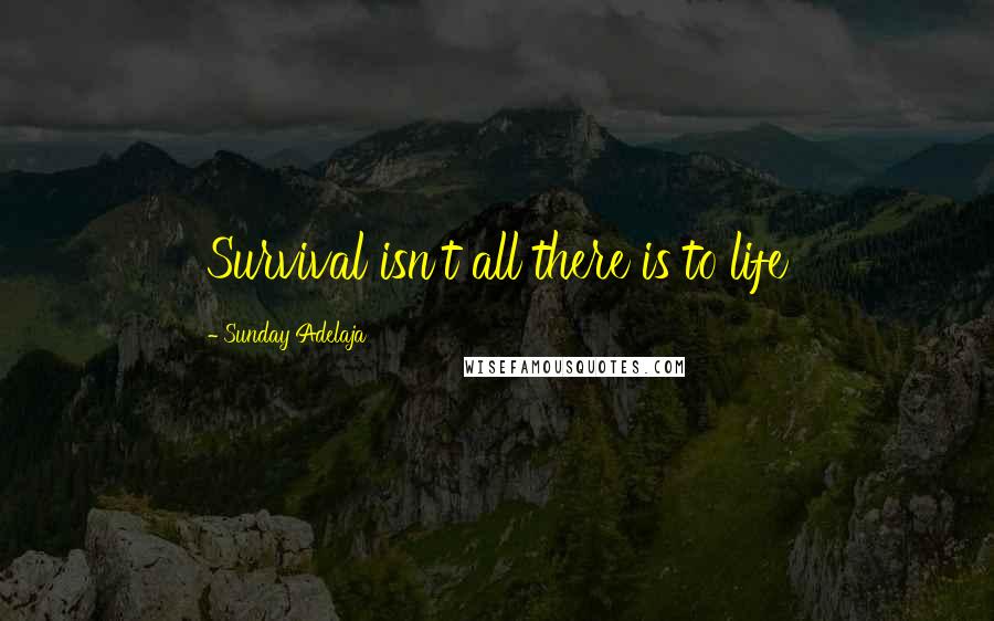 Sunday Adelaja Quotes: Survival isn't all there is to life