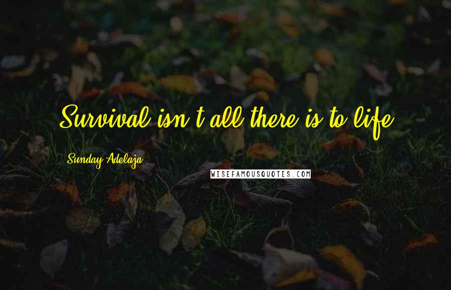 Sunday Adelaja Quotes: Survival isn't all there is to life